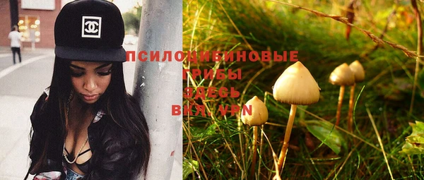 винт Армянск
