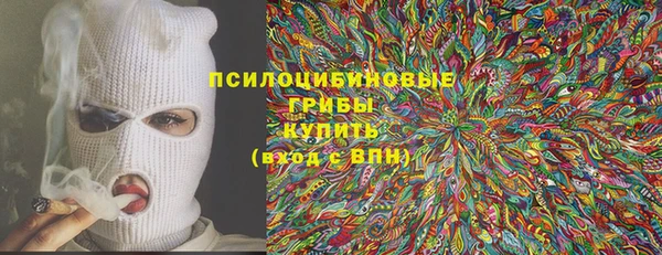 винт Армянск