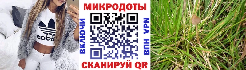 цены   Сланцы  Галлюциногенные грибы GOLDEN TEACHER 